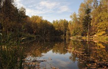 Overgrown pond / ***