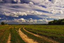 About the field and the sky ... / ***