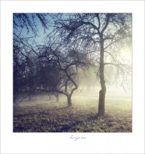 Frost, sun and fog / ***