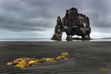 Icelandic elephant / ***