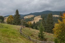 From the series &quot;Carpathian pastoral ...&quot; / ***