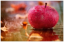 Still life with apples and autumn rain / ***