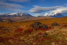 Autumn in the Valley of the Giants / ***