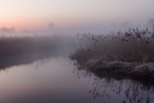 Spring fog / ***