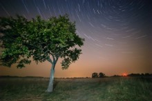 Summer Night on the bank of the Berezina / ***********