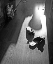 Light XIX / ***