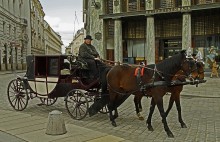 On modern streets of Vienna / ***
