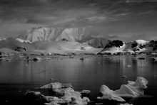 Black and white dreams ... Antarctica ... / ***