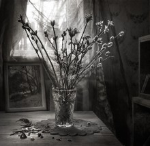 Spring in the old house ... / ...