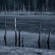 Last ice / ***