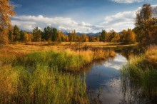 In the foothills of the Khamar-Daban autumn ... / ***