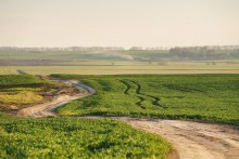 April on the Minsk Upland / ***