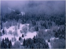 The Chronicles of Narnia, Smoky Forest / ***