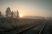 Foggy morning. / ***