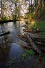 Usha about the river and its banks / ***