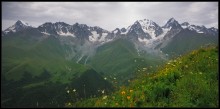 In the mountains of the Caucasus / ...