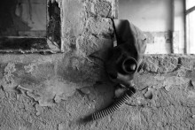 Remains of the Empire / ***