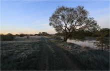 May morning-2 / ___________________*