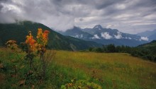 First notes of autumn / ...