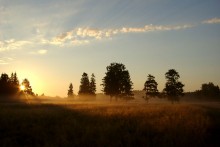 Early morning / ***