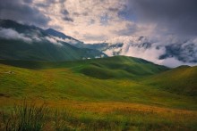 In the mountains of the Caucasus / ...