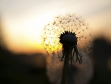 Early morning ** / ***