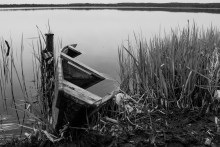 Landscape at the lake / ***