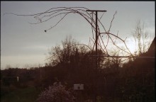 sunset | | | / ***
