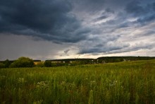 Before the rain. / fields of gold