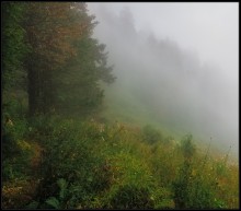 Way in the fog / ...