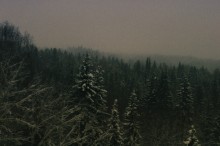 January. / ...