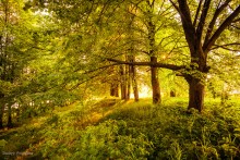 On a sunny afternoon ... / ***