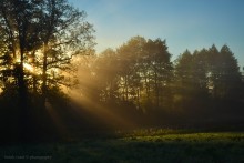 Golden breath ... / ....
