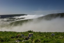 Morning on Gumbashi pass (2200 m) / ***