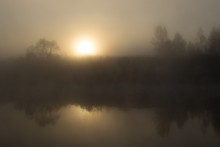 Sunrise through the fog / -------