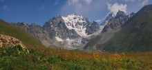 In the mountains of the Caucasus / ...