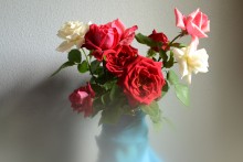 Roses / ***