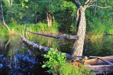River Stokhid / ***