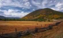 In the autumn pasture ... / ***