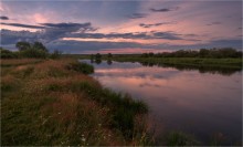 On the river bank in June / ***