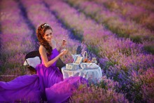 photographing lavender field in Crimea / ***