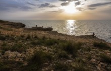 On horse mackerel / ***