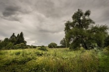 Field outside the village / ***