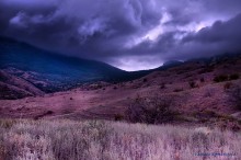 Before the storm / ***