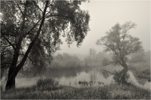 Fog in grayscale / ***