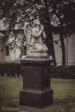 Angel of the Novodevichy Convent / ***