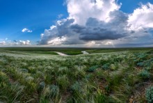 The steppe. / ***