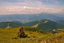 In the Carpathians / ***