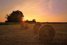 A summer evening. / A summer evening in my region.