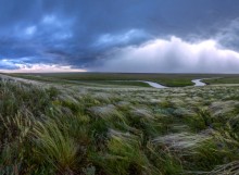 Approaching rain. / ***